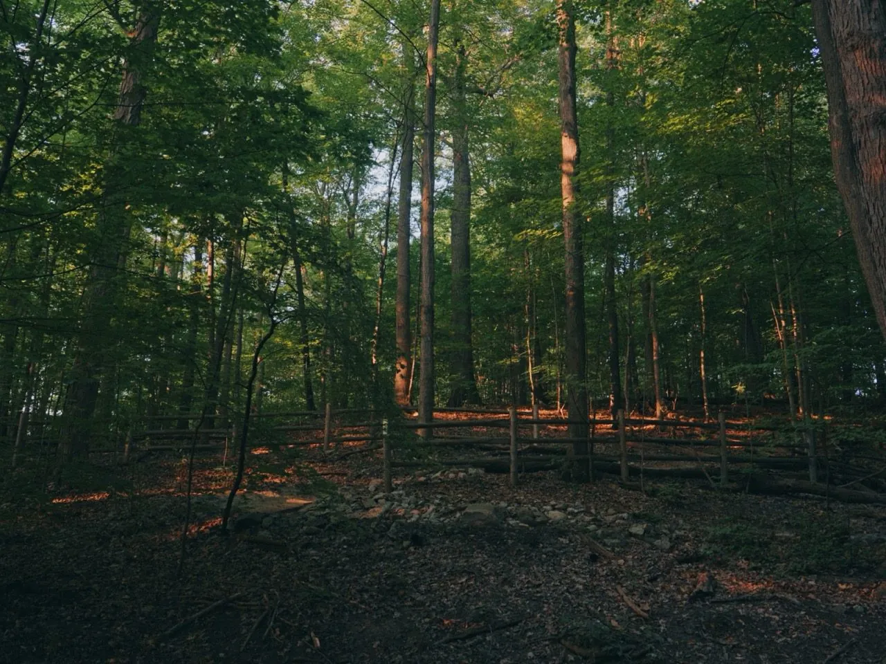 Midweek Run, an ÜNDA Movement brand film by Studio Propel
